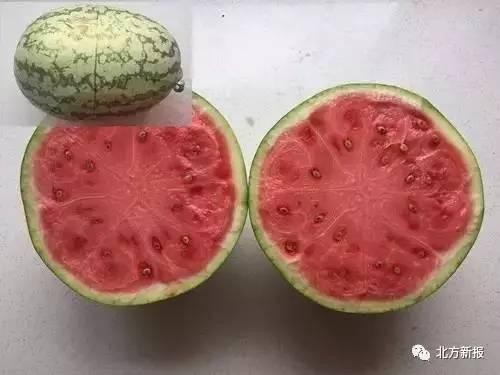 吃瓜不带籽,吃瓜不带籽，清爽一夏